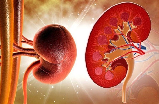 Thức ăn nhanh tiềm ẩn nhiều nguy cơ g&acirc;y hại thận